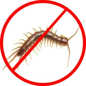 Centipedes Service Request
