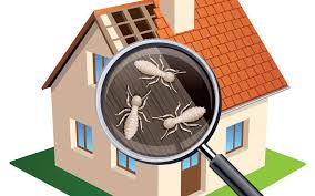 Termites Inspection Request