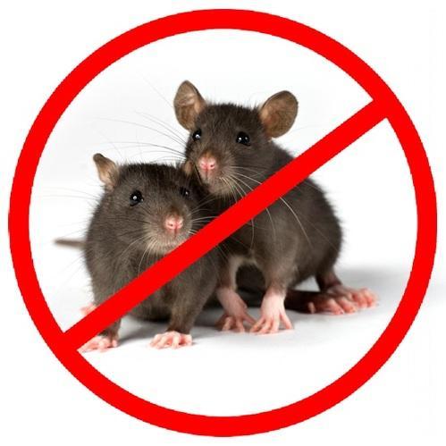 Rats Service Request